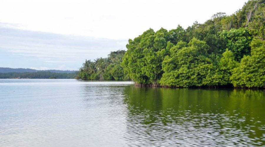Koggala Lake